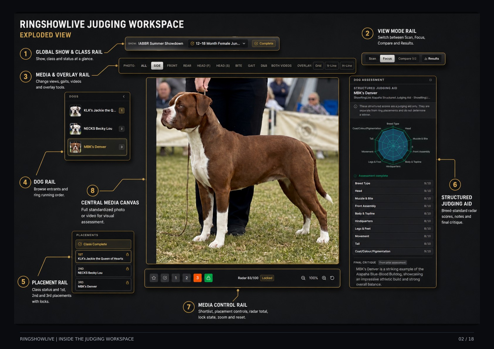RingShowLive judging workspace guide, page 2 of 18
