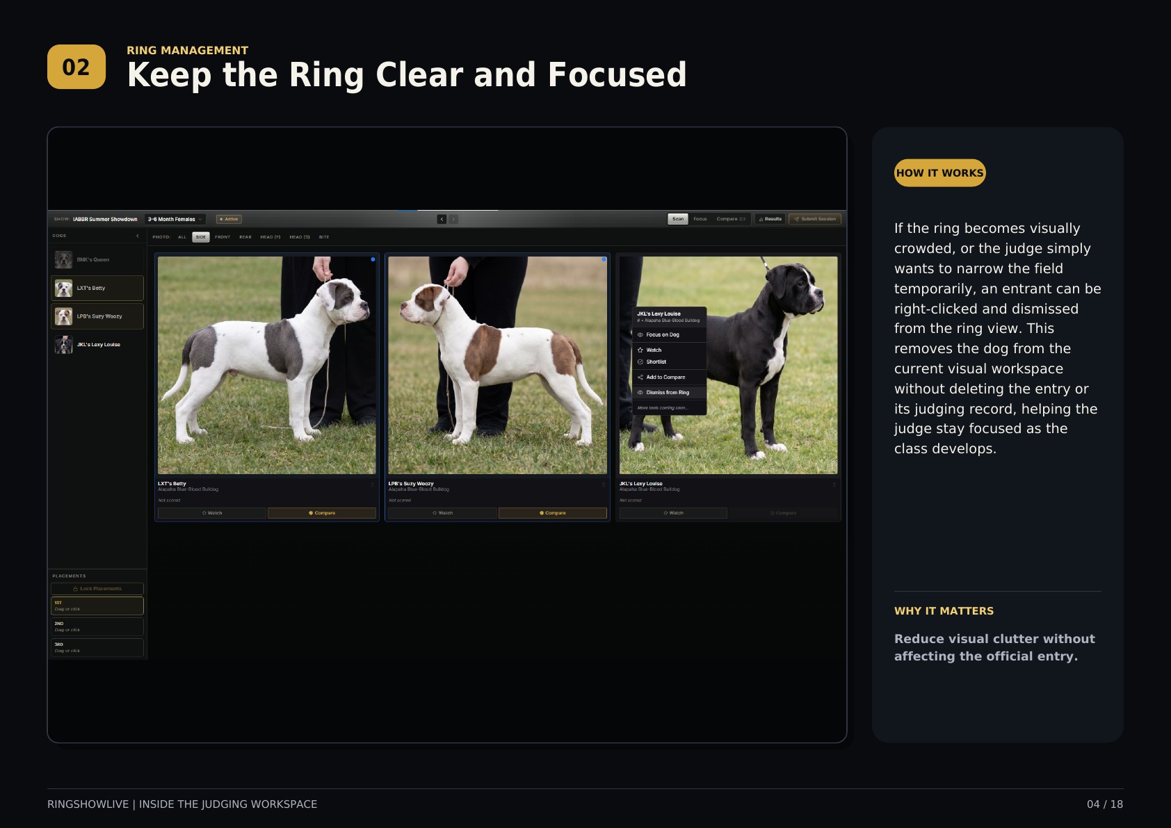 RingShowLive judging workspace guide, page 4 of 18