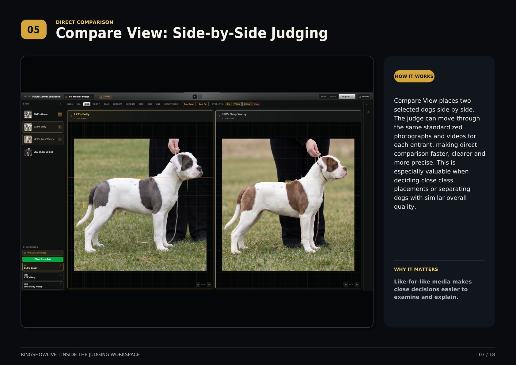 RingShowLive judging workspace guide, page 7 of 18