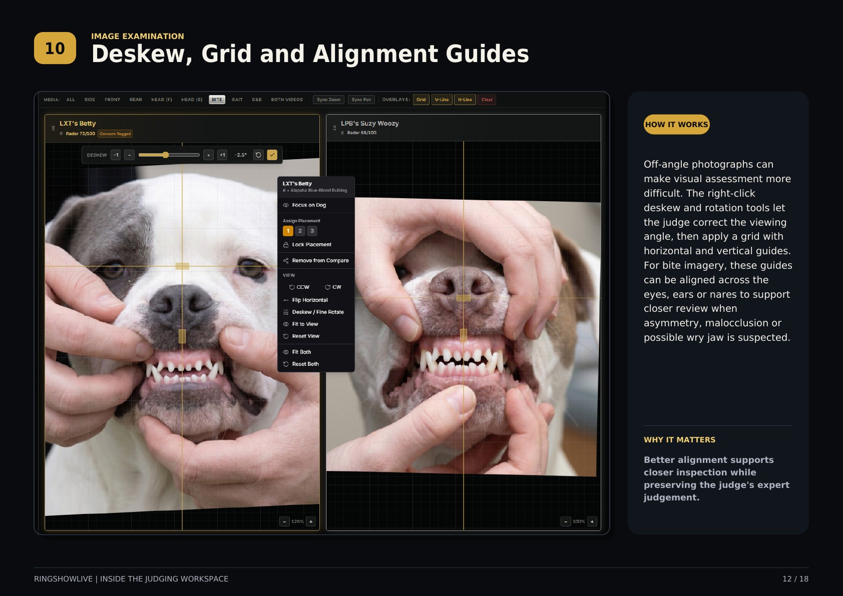 RingShowLive judging workspace guide, page 12 of 18