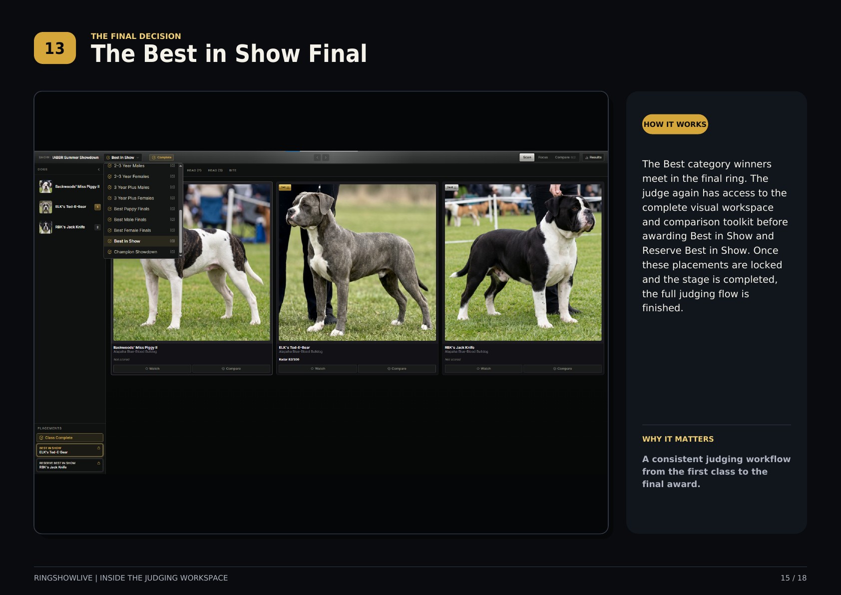 RingShowLive judging workspace guide, page 15 of 18