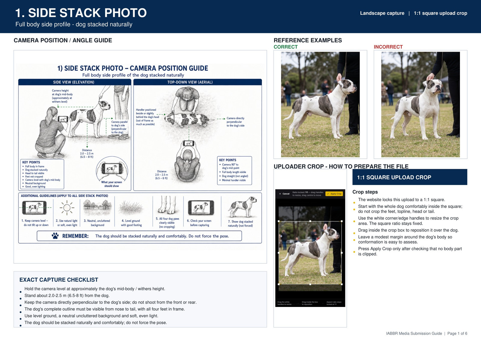 IABBR side stack photo guide showing camera position, correct and incorrect examples, crop instructions and capture checklist