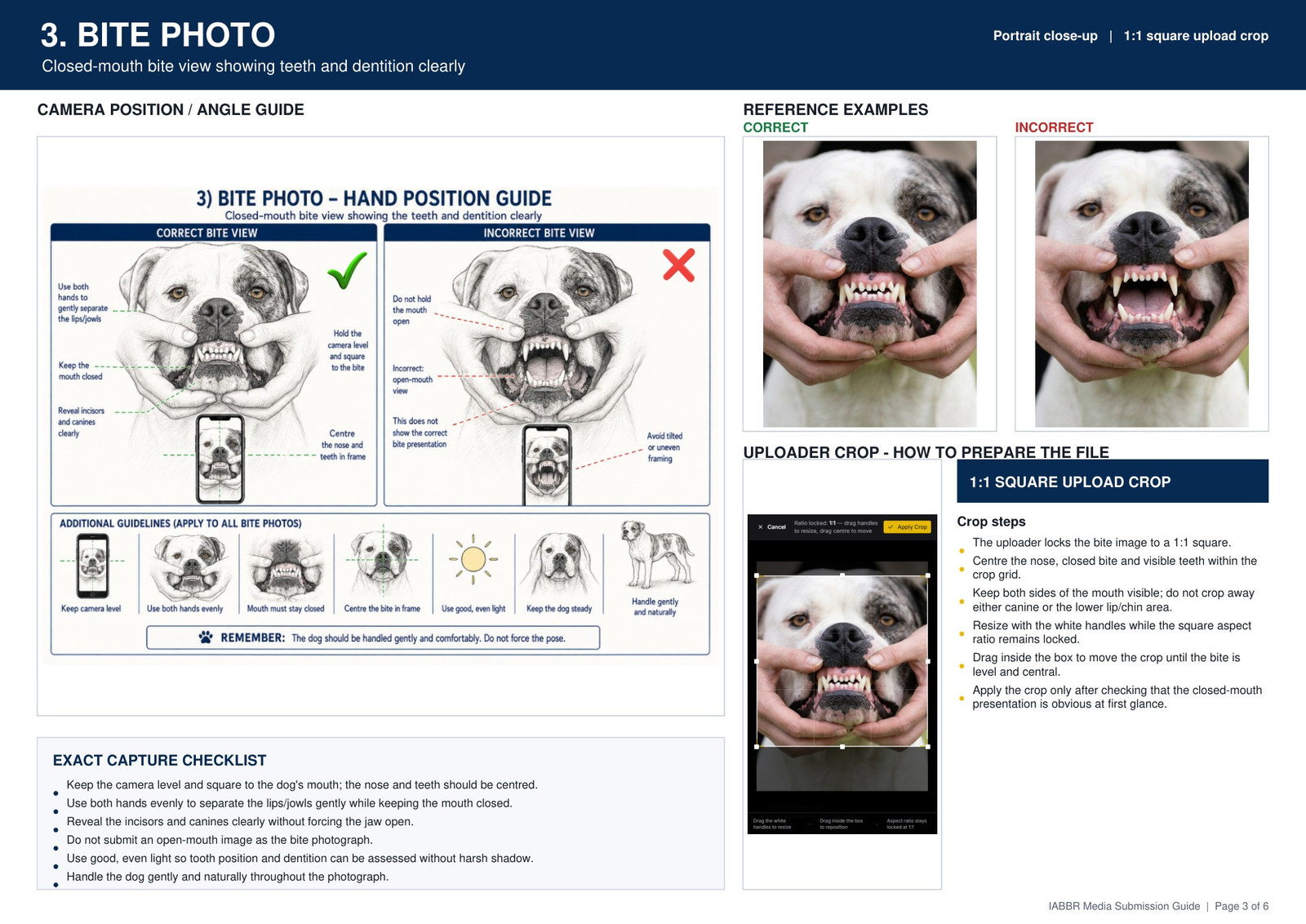 IABBR bite photo guide showing correct hand position, incorrect examples, square crop instructions and capture checklist