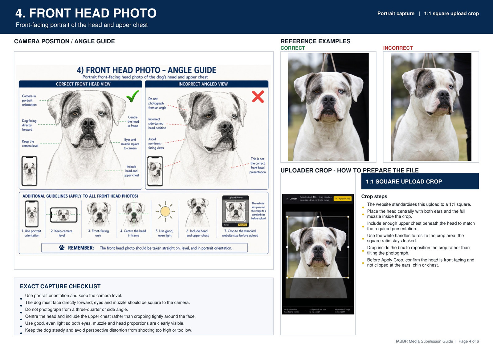 IABBR front head photo guide showing camera angle, correct and incorrect examples, square crop instructions and capture checklist