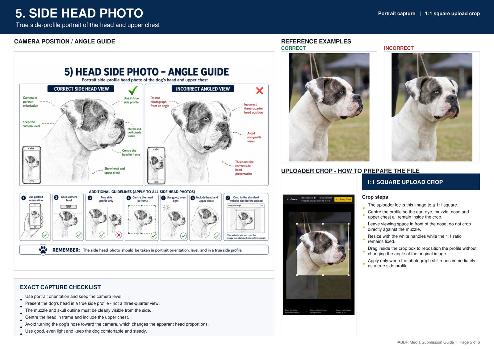 IABBR side head photo guide showing camera angle, correct and incorrect examples, square crop instructions and capture checklist