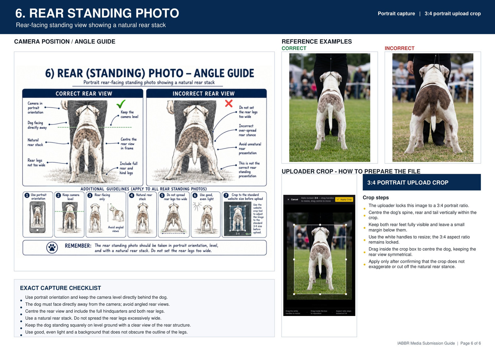 IABBR rear standing photo guide showing camera position, correct and incorrect examples, portrait crop instructions and capture checklist